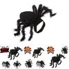 Cute And Funny Pet Spider Costume For Halloween