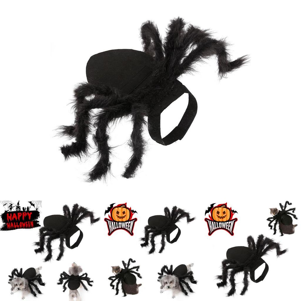 Cute And Funny Pet Spider Costume For Halloween