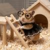 Breathable Pet Puff Skirt Lightweight Pet Dress Eyeglasses Set Pet Suspender Skirt  Fancy Rats