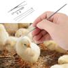 Carbon Steel Farm Livestock Breeding Chicken Hen Rooster Capon Tool Equipment Hatchery Kit