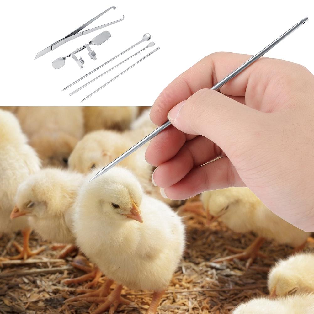 Carbon Steel Farm Livestock Breeding Chicken Hen Rooster Capon Tool Equipment Hatchery Kit