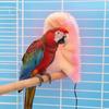 Păsări – Cuști pentru păsări și accesorii