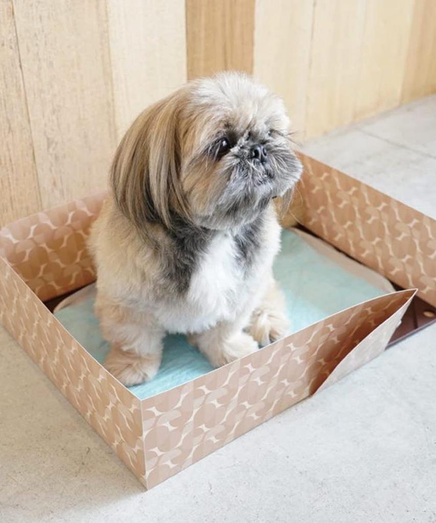 HARIO Dog Toilet Mat Partition L, Light Brown