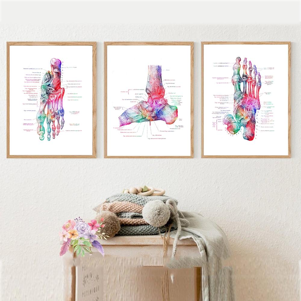 Foot Bones Anatomy Poster Podiatry Art Medical Print Canvas Painting Posters And Prints Wall Pictures For Gift Doctor Office Dec