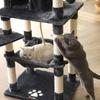 FEANDREA Cat Tree, Stable Cat Tower, 2 Plush Perches, 143cm, Smoky Grey