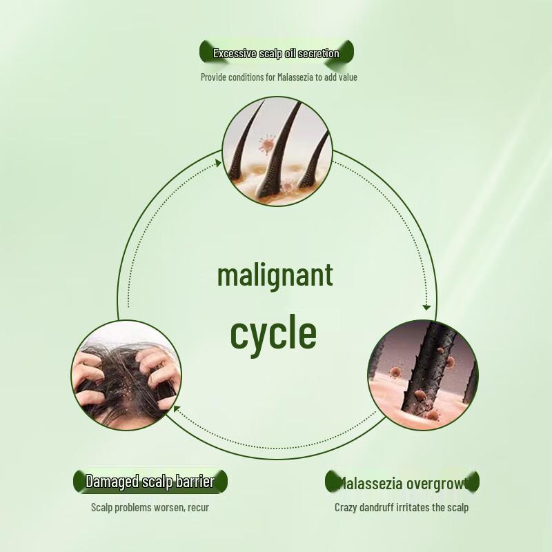 TJOY Shampoo & Conditioner Range