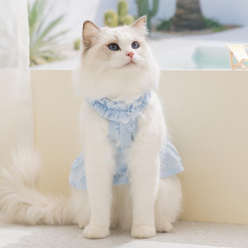 Spring and summer thin daisy skirt lace collar cat and dog clothing two-legged casual wear