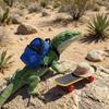 Funny Pet Skateboard Toys Set Creative Parrot Skateboard Lizard Mini Scooter  Photograph Prop
