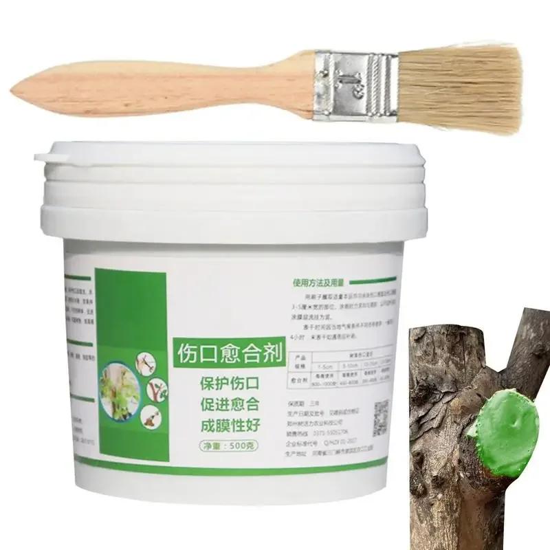 

Tree Wounds Bonsai Plants Application Grafting Pruning Sealing Agents Tree Repair Tools