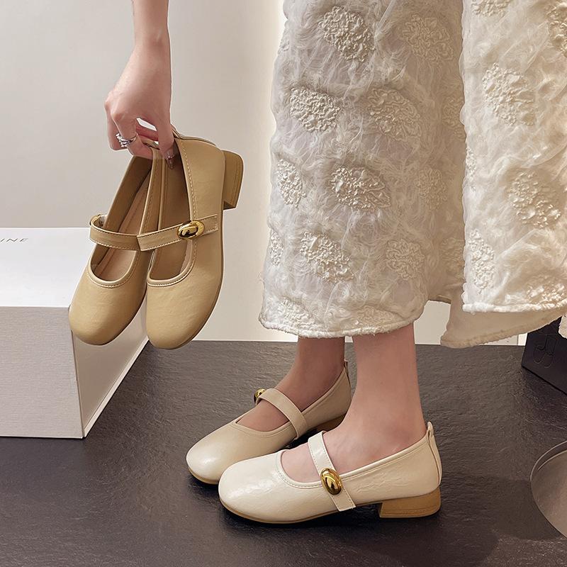 Spring and summer small skirt 2025 new French high heels small leather shoes women Mary Jane evening shoes thick heel single shoes