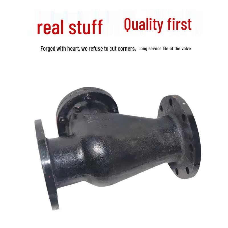 H44T Cast Iron Flanged Swing Check Valve