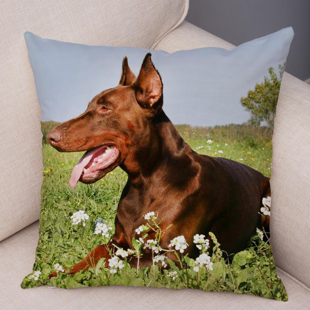 Doberman Pinscher Cushion Cover Both Sided Print Decor Pet Dog Animal Pillow Case for Car Sofa Home Soft Plush Throw Pillowcase