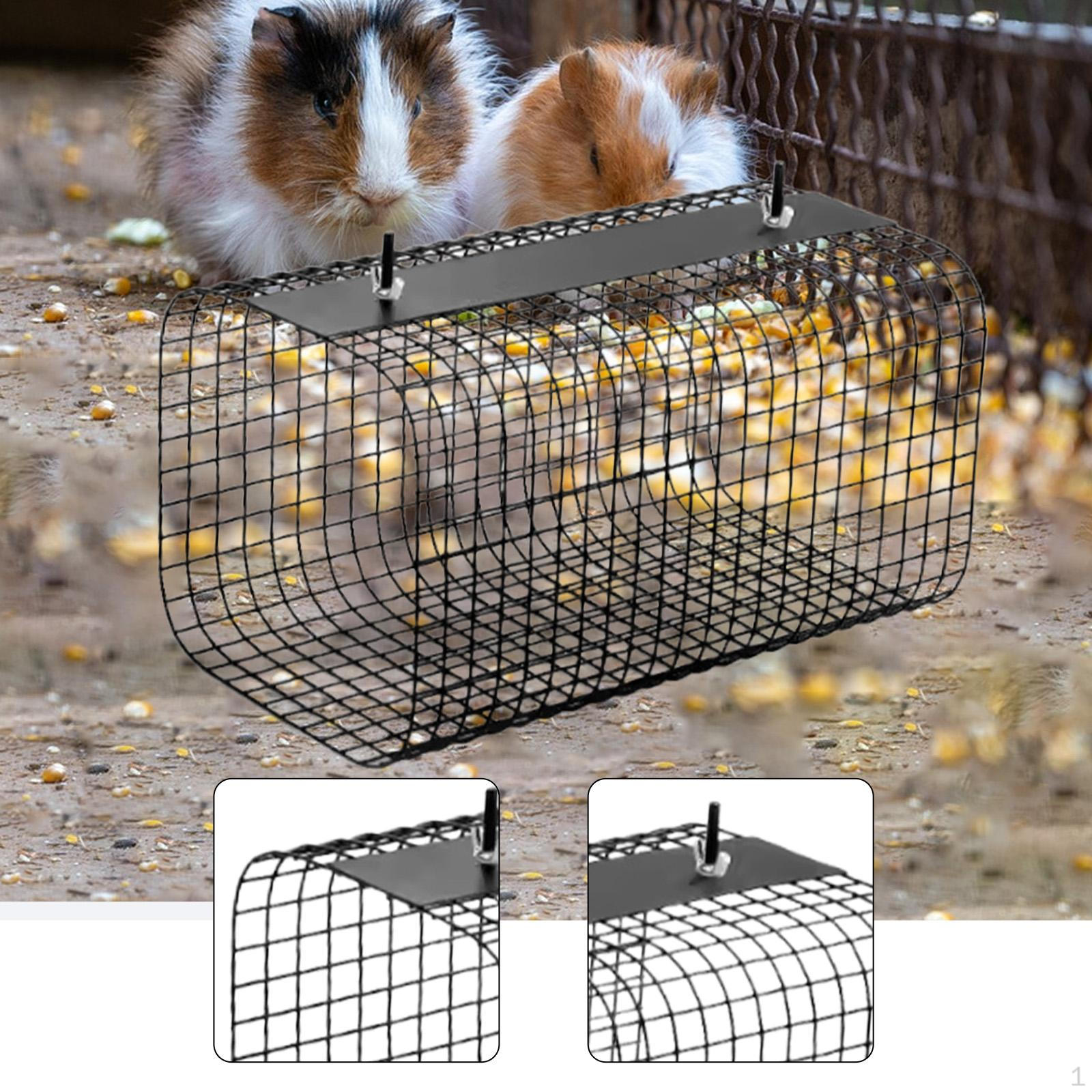

Ferret Hamster Tunnel Wire Tube Toy Lightweight Home Pet Play Hideout for Chinchilla Rats