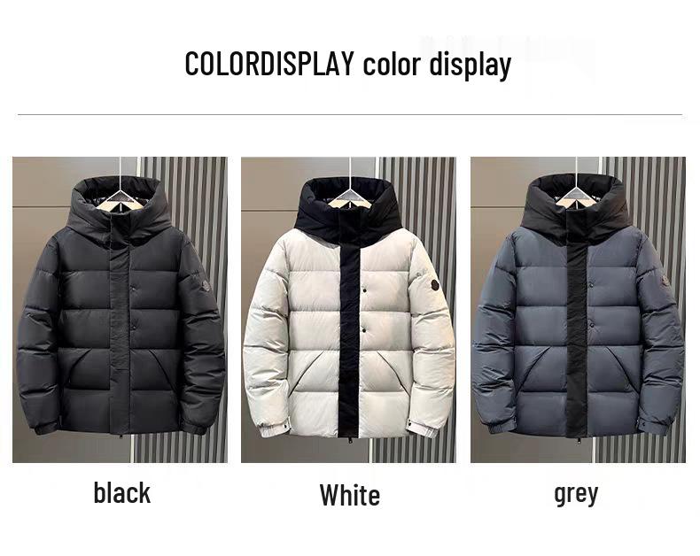 Men's Winter Fashion Stand Collar Windproof White Duck Down Jacket