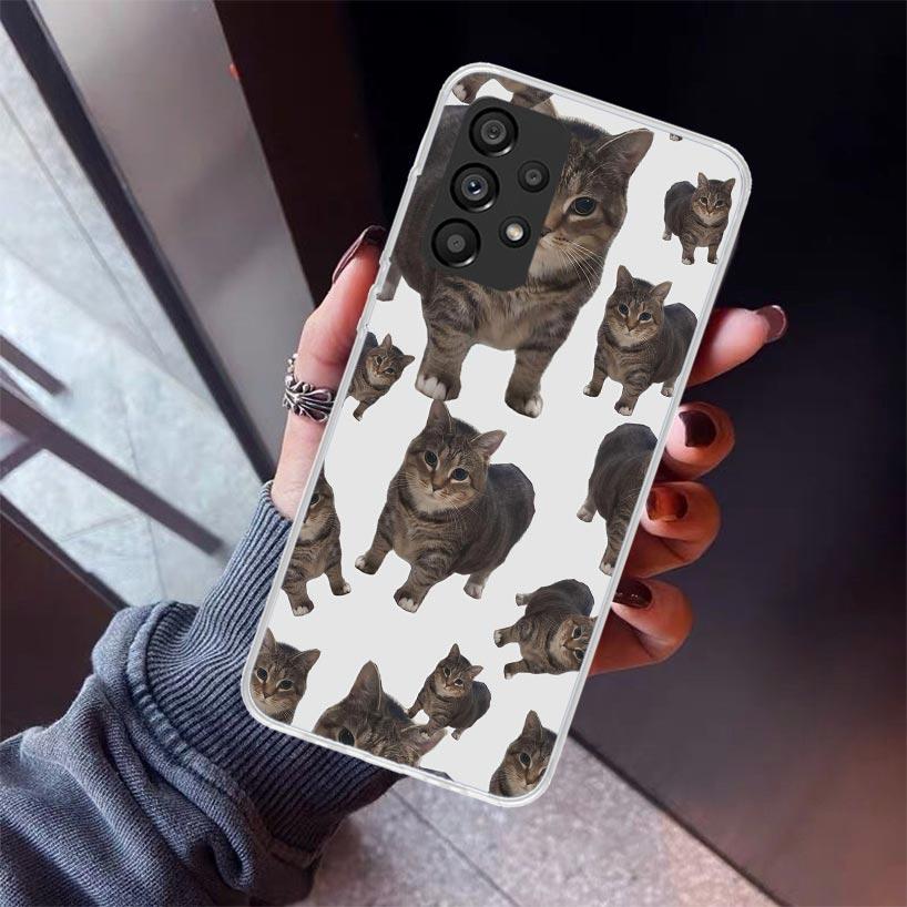 Crying Cat Memes Phone Case For Samsung Galaxy A12 A52S A42 A32 A22 A51 A50 Note 20 Ultra 10 S10 Plus A71 A70 A31 A30 A10S Galax