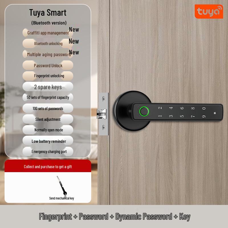 Maniglia Serratura Porta con Impronta Digitale e App Bluetooth, Design Graffiti, Apertura con un Tocco, Funzionamento Silenzioso per Case e Uffici