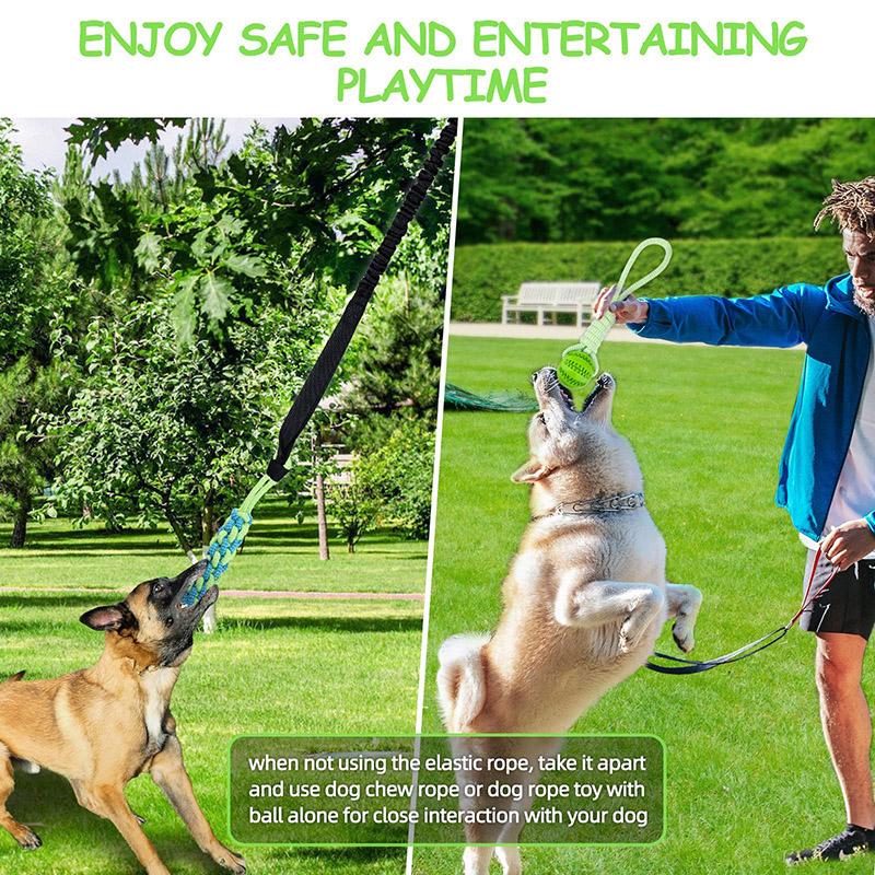 Interactive Dog Toy Spring Rope Dogs Outdoor and Indoor Hanging Pull Rope Ball Bite Resistant Chew Toys Training Pet Accessories