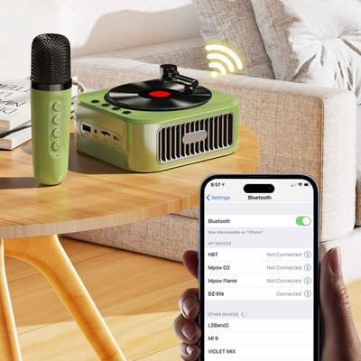 Vinyl Record Player Retro Audio Bluetooth Speaker Wireless Microphone Small High Quality