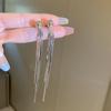 Stylish Silver Needle Earrings with Long Tassels