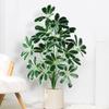 Plastic Material Fake Palm Plants Large Size Plastic Shrub Leaves  For Outdoor Decor