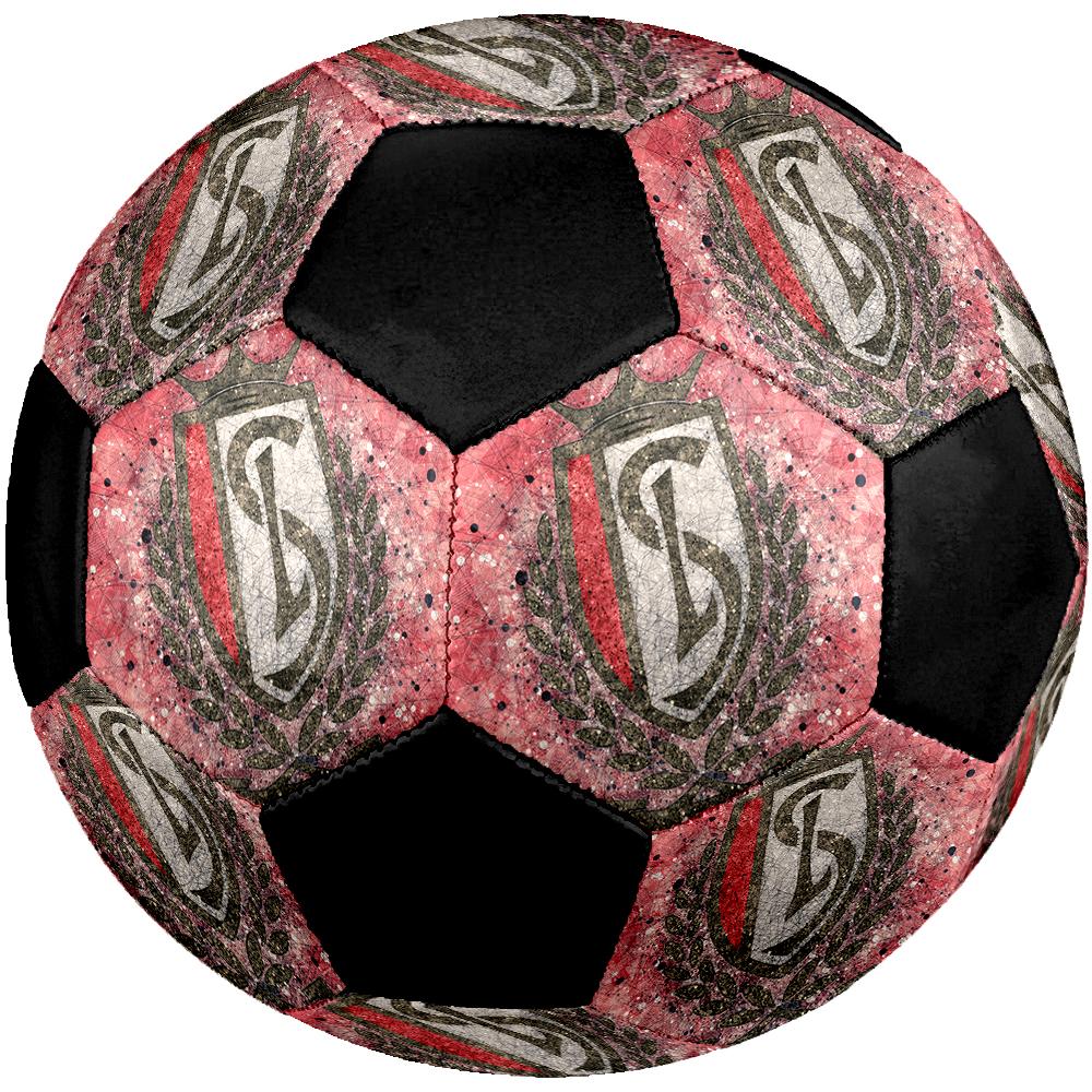 SIZE 5 Standard Liège Soccer Ball Colorful All Ages Machine Stitched PVC Competition Ready Durable High-Bounce
