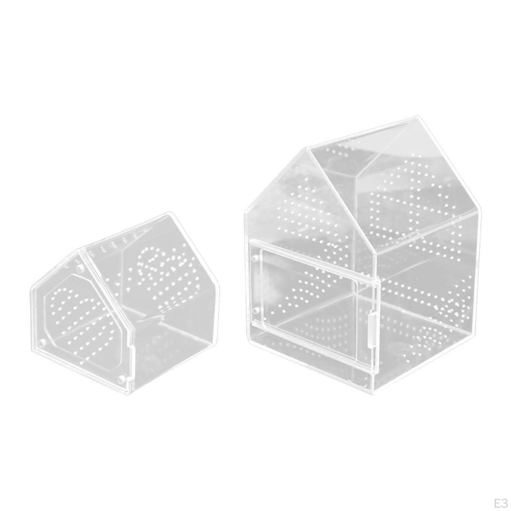 for Jumping Spiders Box Acrylic Terrarium with Ventilation Holes Panoramic Observation Suitable