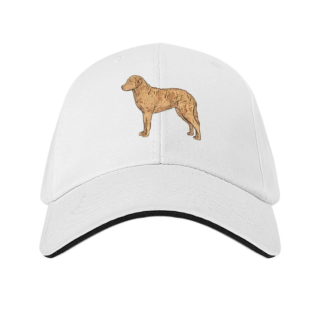 Chesapeake Bay Retriever Colorful Silhouette Baseball Cap Hiking Hat Thermal Visor Sunscreen Ball Cap Women Unisexs