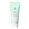 Green Plum Refreshing Cleanser 100ml