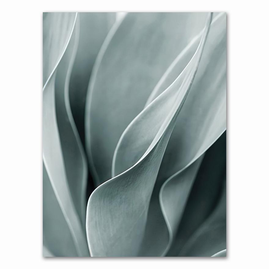 Palm Leaves Plant Art Canvas Painting Aloe Botanical S And Prints Modular Wall Pictures For Living Room Home Decoration