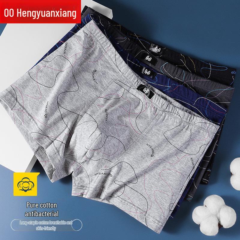 Men's Summer Cotton Boxer Briefs, Thin & Breathable, Boys' Basic Style, Cool, Boxed Set of 4.