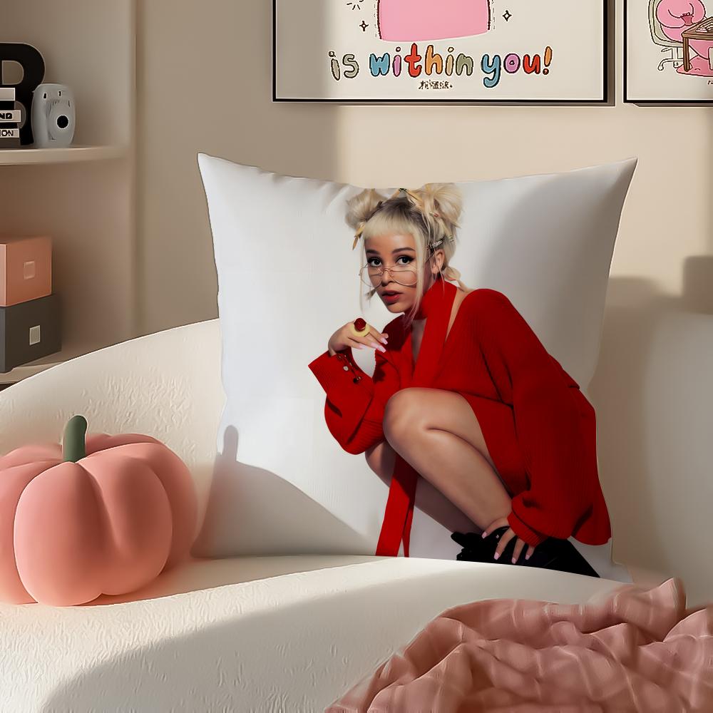 Singer DDoja CCat Cushion Cover Pillowcase Short Plush Invisible zipper Room Sofa Cushion Cover