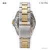 CREPHA Analog Solar Rechargeable Watch with Metal Men's Band, Gold, AV-AM284-BKT