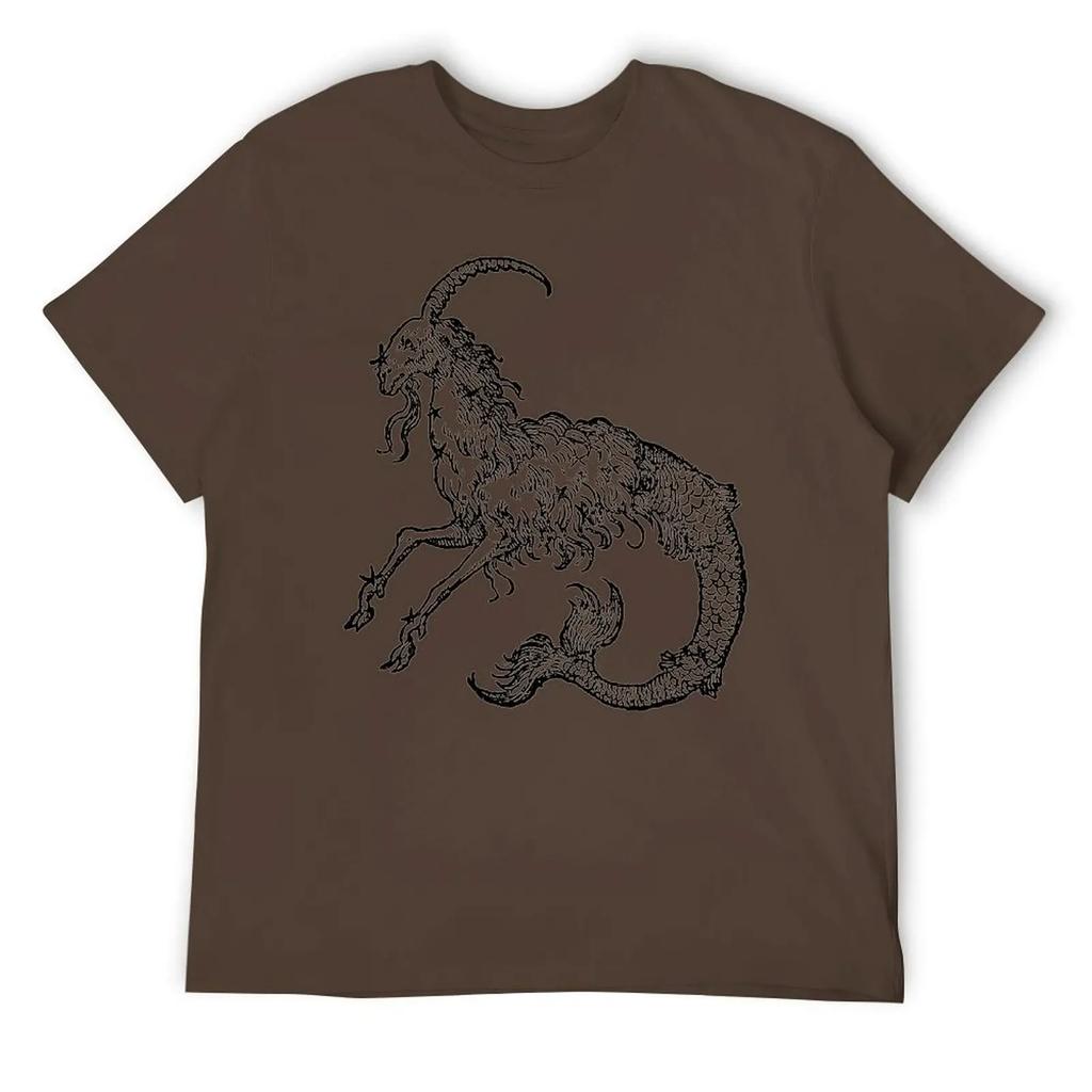 Capricorn Twelve Constellation (4) T-shirt Harajuku Move Tshirt Vintage Home Funny Novelty USA Size