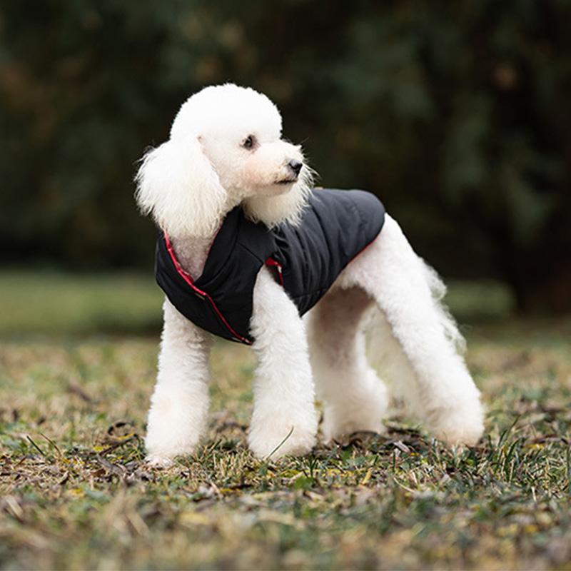 Christmas Dog Jacket Party Printing Reversible Winter Dog Coat for Small Dogs Soft Padded Warm Dog Clothes with Hole for Leash