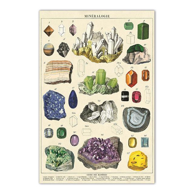 

Школьный офис, настенный образовательный постер, домашний кабинет, офисное украшение, живопись, Ретро ископаемое минеральное искусство, холст, живопись