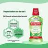 Colgate Fresh Tea Mint Mouthwash