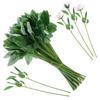 10Pcs Gardening Craft Accessories Fake Flower Stem Rose Flowers Head Decoration