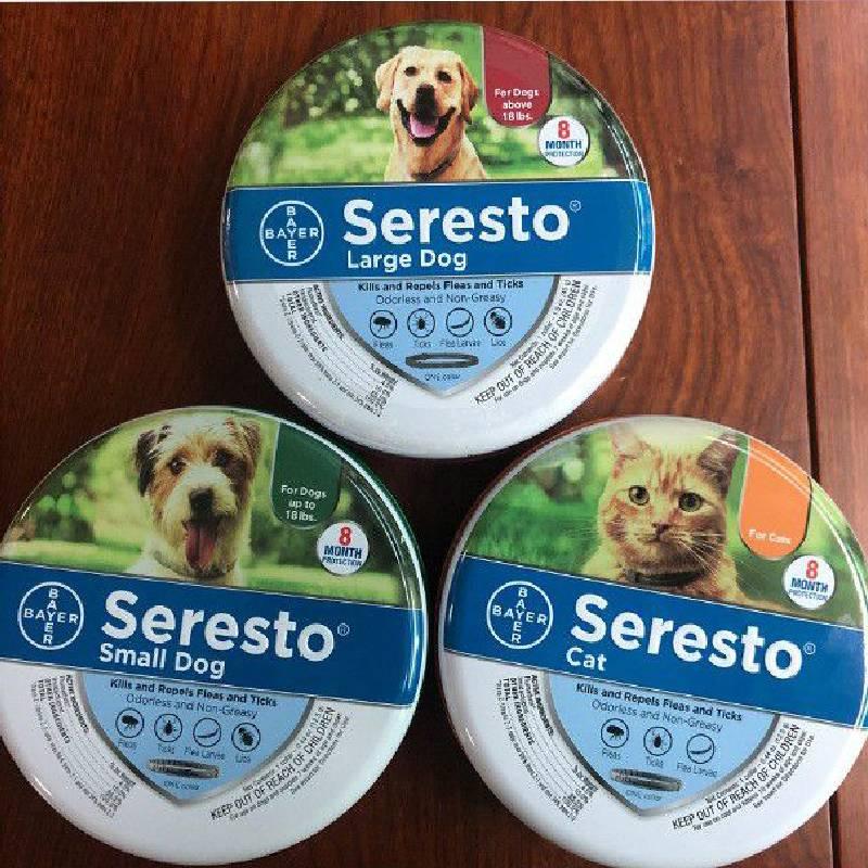 Flea And Tick Prevention Collar For Dogs And Cats- 8 Months Protection Odorless And Non-greasy