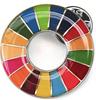 United Nations Official System SDGs Badge 25mm Silver Rounded Finish SDGs Badge Pin Badge SDGs Perfect for Hats and Bags Cute 3 Clasps Included