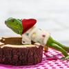 Cotton Lizard Hoodie for Bearded Dragon and Gecko - Adjustable Reptile Clothing with Comfort Fit for Halloween, Photoshoots Or