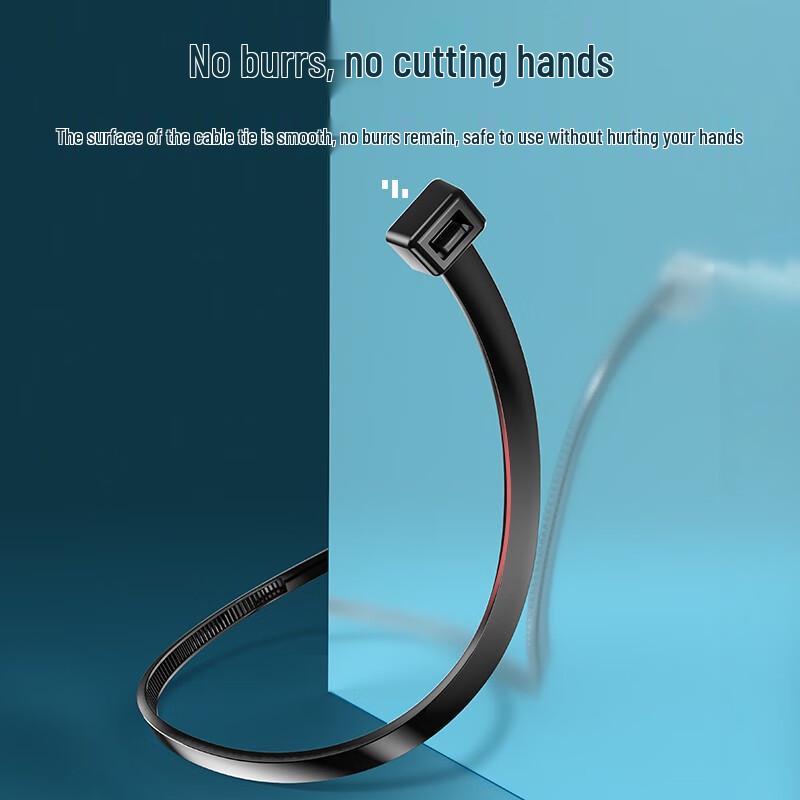 Shanze ZD-38 Nylon Cable Ties