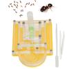 Acrylic Ant Breeding Box Transparent Watching Feeding Case Ants House Toy for Children