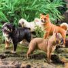 Oenux 4pcs Dog Animals Model Set Action Figure Rottweiler Shiba Inu Persian Cat Siamese Figurines Cute Education Toy Kids Gift