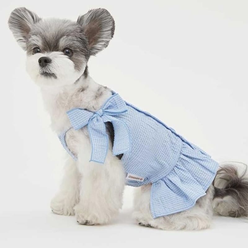 MIMINKO Ribbon Frill Blouse [DW4MB1090]