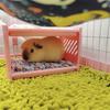 Hamster Bed House Bunk Bed Small Animal Warm Bed House Cage Nest Blanket Bed Small Pet House Animals Hamster