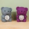Hugging Bear Preserved Rose Gift Box with Necklace & Ring