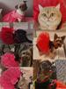 Baffy Pet Clothing: Stylish Cat & Dog Apparel and Skirts