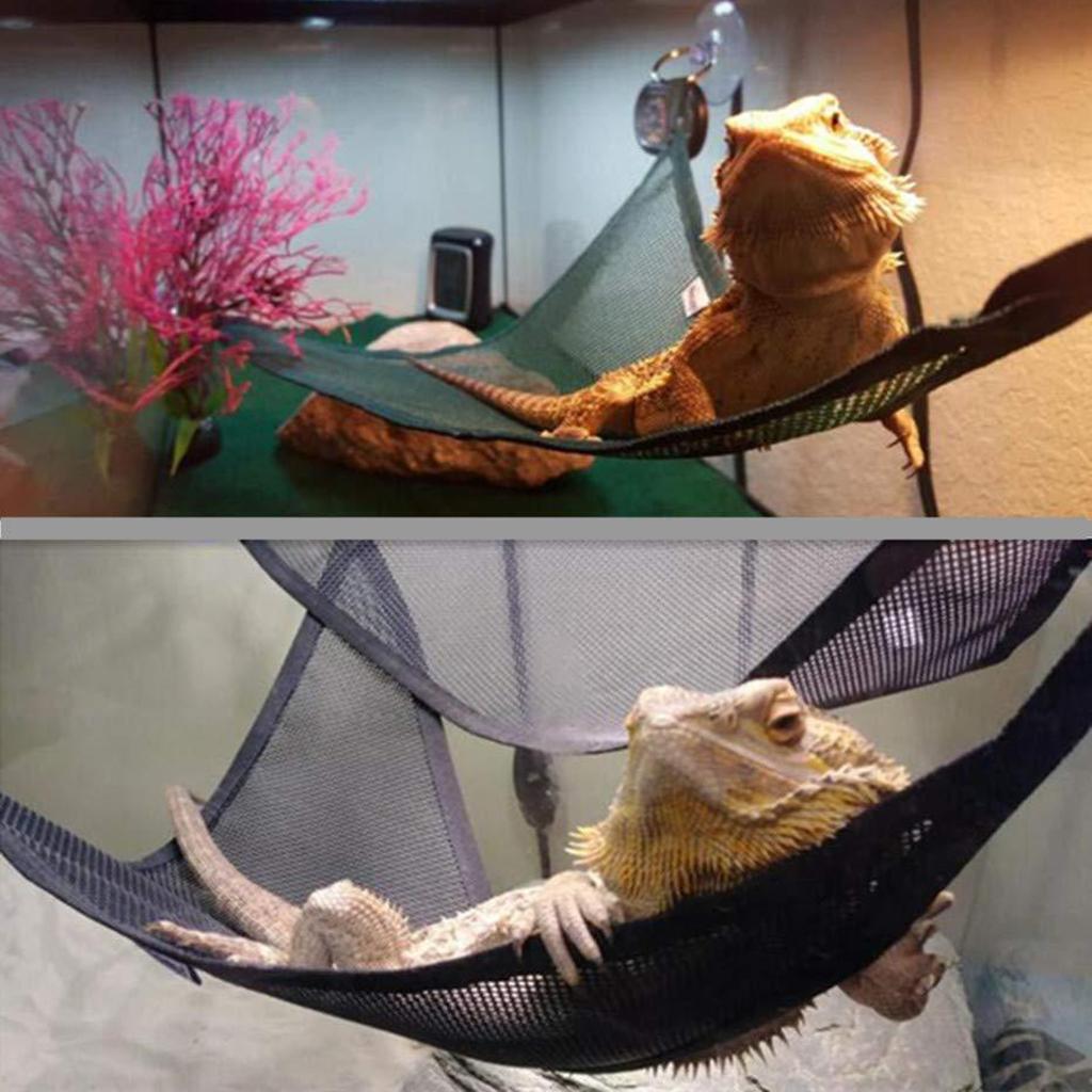 Reptile Corner Hammock Bed Plastic Reptile Accessory Reptile Supplies for Snake Turtle and Gecko Cage Setup