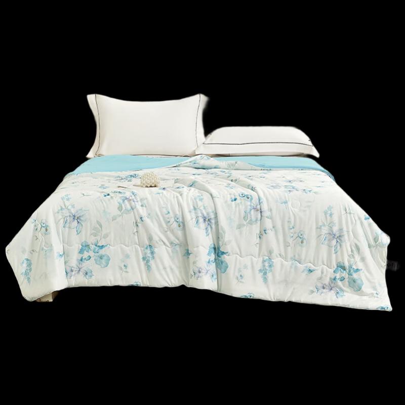 Grace Jieliya All-Season Cooling Quilt CP2767