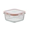 CHAHUA Crystal Glass Lunch Box